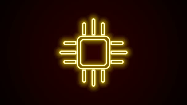 Strălucitoare neon linie Computer procesor cu microcircuite CPU pictograma izolat pe fundal negru. Chip sau cpu cu placă de circuit. Micro procesor. 4K Animație grafică în mișcare video — Videoclip de stoc