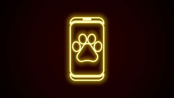 ネオンラインの輝き黒い背景に隔離された獣医師クリニックのシンボルアイコン。病院のサインだ。様式化された足の印刷犬または猫。ペットの応急処置サイン。4Kビデオモーショングラフィックアニメーション — ストック動画