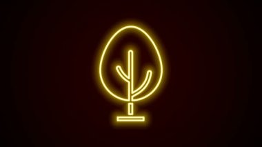 Parlayan neon çizgisi ağaç simgesi siyah arkaplanda izole edildi. Orman sembolü. 4K Video hareketli grafik canlandırması