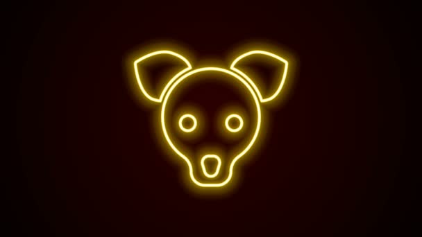 Glowing neon line Dog icon isolated on black background. 4K Video motion graphic animation — Stock Video