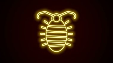 Parlayan neon hattı Larva böcek ikonu siyah arkaplanda izole edildi. 4K Video hareketli grafik canlandırması