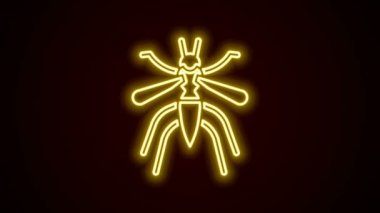 Parlayan neon hattı sivrisinek ikonu siyah arkaplanda izole edildi. 4K Video hareketli grafik canlandırması