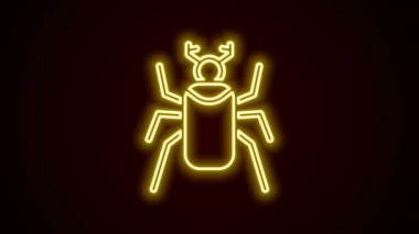 Parlayan neon çizgisi Böcek böcek simgesi siyah arkaplanda izole edildi. 4K Video hareketli grafik canlandırması