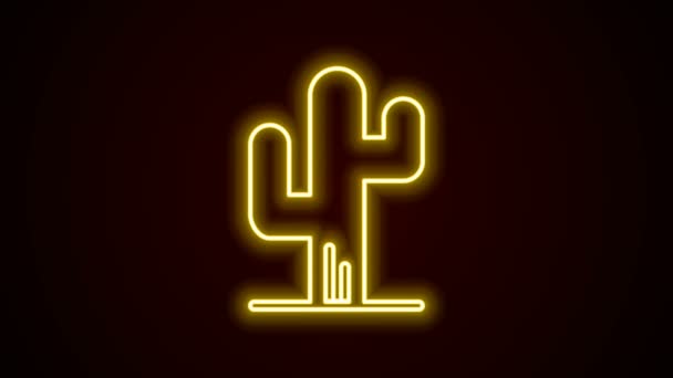 Glowing neon line Cactus icon isolated on black background. Animasi grafis gerak Video 4K — Stok Video