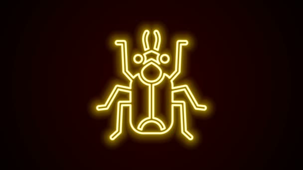 Leuchtende Leuchtschrift Käfer-Symbol isoliert auf schwarzem Hintergrund. 4K Video Motion Grafik Animation — Stockvideo