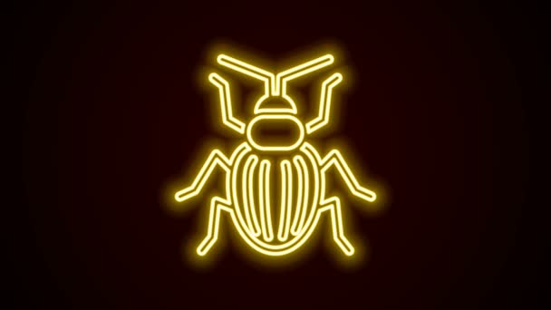 Świecąca neonowa ikona żuka Chafera odizolowana na czarnym tle. 4K Animacja graficzna ruchu wideo — Wideo stockowe