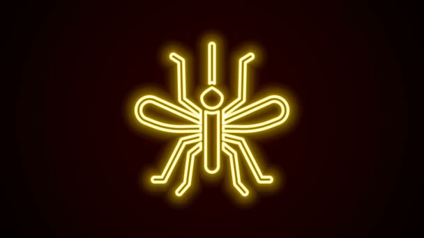 发光的霓虹灯线蚊子图标孤立在黑色背景。4K视频运动图形动画 — 图库视频影像