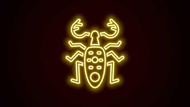 Leuchtende Leuchtschrift Beetle Hirsch Ikone isoliert auf schwarzem Hintergrund. Hörnerkäfer. Großes Insekt. 4K Video Motion Grafik Animation — Stockvideo