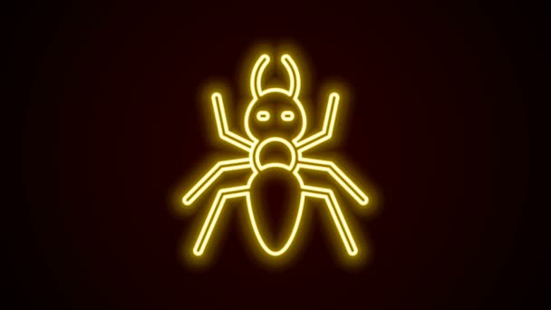 Zářící neonová čára Ikona mravence izolovaná na černém pozadí. Grafická animace pohybu videa 4K — Stock video
