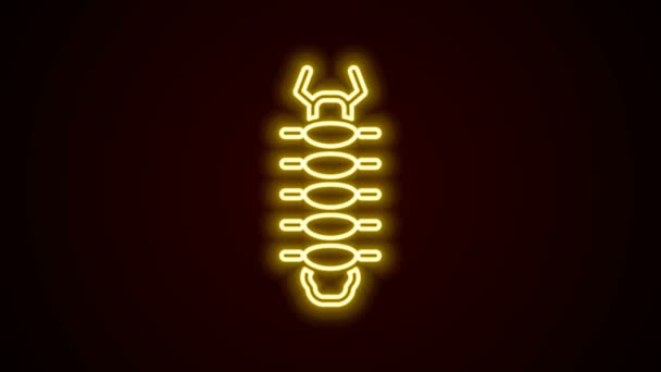 Glowing neon line Centipede insect icon isolated on black background. 4K Video motion graphic animation — Stock Video