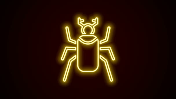 Linea al neon incandescente icona bug Maggiolino isolato su sfondo nero. Animazione grafica 4K Video motion — Video Stock