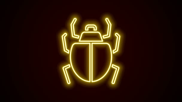 Glowing neon line Mite icon isolated on black background. 4K Video motion graphic animation — Stock Video