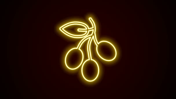 Zářící neonová čára Ikona větve Olivy izolovaná na černém pozadí. Grafická animace pohybu videa 4K — Stock video