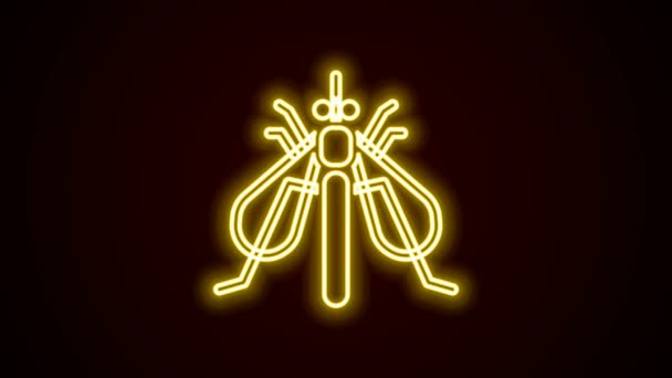 Glowing neon line Experimental insect icon isolated on black background. 4K Video motion graphic animation — Stock Video