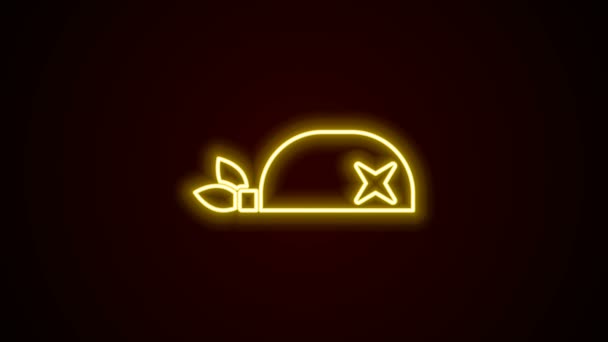 Žhnoucí neonová linie Pirátský šátek pro ikonu hlavy izolované na černém pozadí. Grafická animace pohybu videa 4K — Stock video