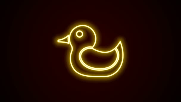 Светящаяся неоновая линия Иконка резиновой утки выделена на черном фоне. Видеографическая анимация 4K — стоковое видео