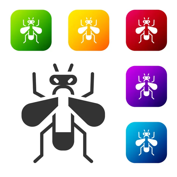 Schwarzes Insektensymbol Isoliert Auf Weißem Hintergrund Setzen Sie Symbole Farbigen — Stockvektor
