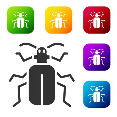 Siyah Shafer Böcek simgesi beyaz arkaplanda izole edildi. Renkli kare düğmelerle simgeleri ayarla. Vektör.