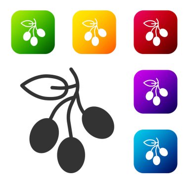 Beyaz arkaplanda siyah zeytin dalı simgesi izole edildi. Renkli kare düğmelerle simgeleri ayarla. Vektör.