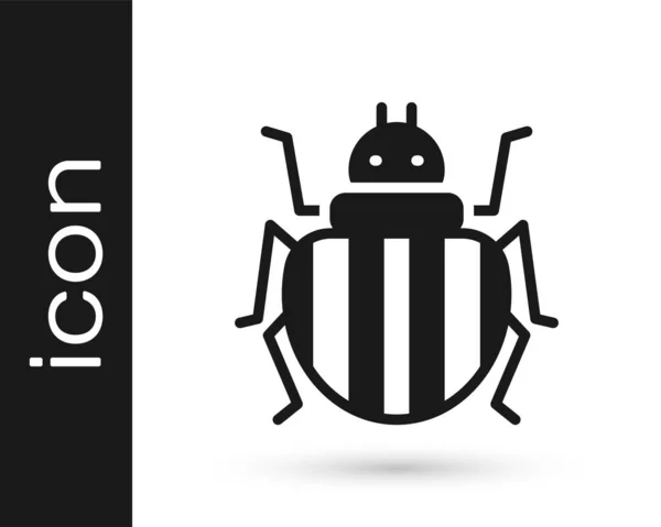 Schwarzes Colorado Käfer Symbol Isoliert Auf Weißem Hintergrund Vektor — Stockvektor