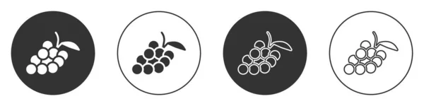 Czarny Ikona Owoców Winogron Izolowane Białym Tle Okrągły Przycisk Wektor — Wektor stockowy