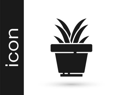 Beyaz arka planda izole edilmiş tencere ikonundaki gri çiçek. Tencerede yetişen bir bitki. Saksı bitkisi işareti. Vektör İllüstrasyonu.