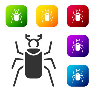Siyah Böcek simgesi beyaz arkaplanda izole edildi. Renkli kare düğmelerle simgeleri ayarla. Vektör.