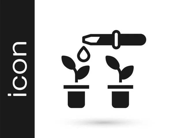 Black Drop Water Drops Pipette Plant Icon Isolated White Background — Image vectorielle