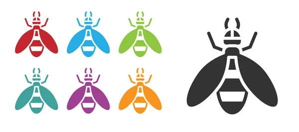 Ikona Black Bee Izolované Bílém Pozadí Sladké Přírodní Jídlo Včela — Stockový vektor