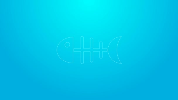 Pinkfarbene Linie Fischskelett-Symbol isoliert auf blauem Hintergrund. Fischgrätenzeichen. 4K Video Motion Grafik Animation — Stockvideo