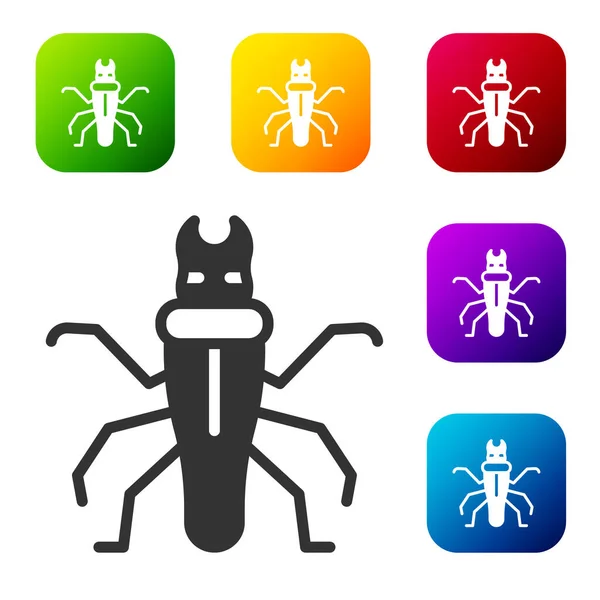 Schwarzes Termite Symbol Isoliert Auf Weißem Hintergrund Setzen Sie Symbole — Stockvektor