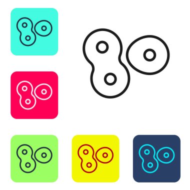 Siyah çizgi hücre bölme işlemi simgesi beyaz arkaplanda izole edildi. Renkli kare düğmelerle simgeleri ayarla. Vektör.