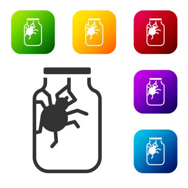 Beyaz arka planda izole edilmiş kavanoz simgesindeki siyah örümcek. Mutlu Cadılar Bayramı Partisi. Renkli kare düğmelerle simgeleri ayarla. Vektör.