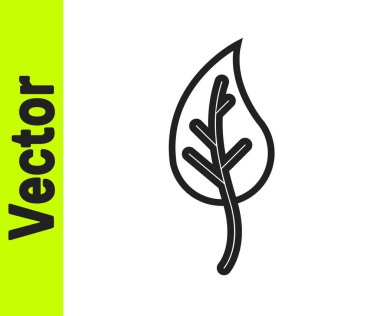 Siyah çizgi Yaprak simgesi beyaz arkaplanda izole edildi. İşaret bırakıyor. Taze doğal ürün sembolü. Vektör.