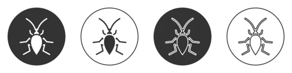 Zwarte Cockroach Pictogram Geïsoleerd Witte Achtergrond Cirkelknoop Vector — Stockvector