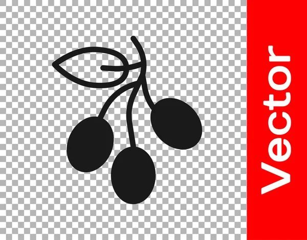 Icono Rama Black Olives Aislado Sobre Fondo Transparente Vector — Vector de stock