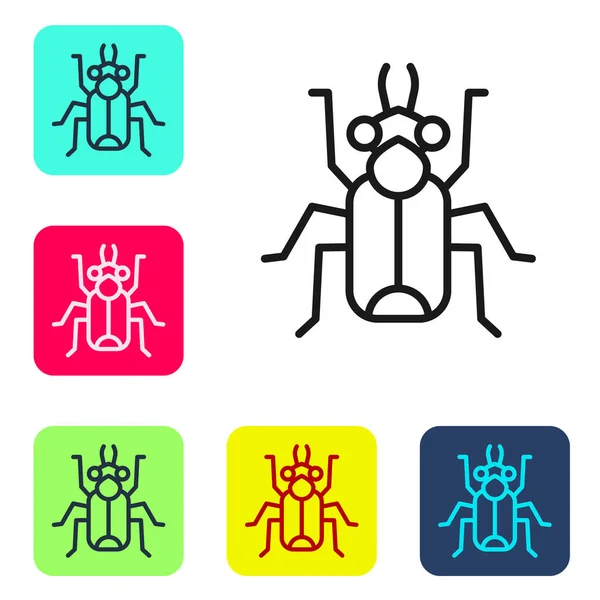 Μαύρη Γραμμή Beetle Bug Εικονίδιο Απομονώνονται Λευκό Φόντο Ορισμός Εικονιδίων — Διανυσματικό Αρχείο