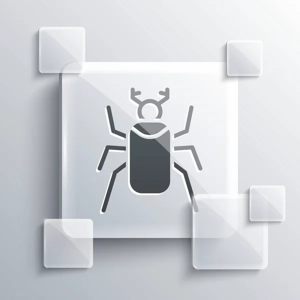 Grey Beetle Bug Icon Isolated Grey Background Square Glass Panels — Stock Vector