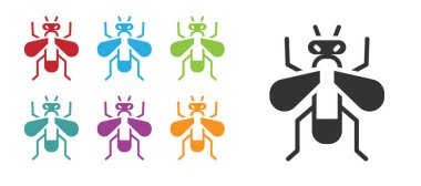 Siyah Böcek sineği ikonu beyaz arkaplanda izole edildi. Simgeleri renklendirin. Vektör.