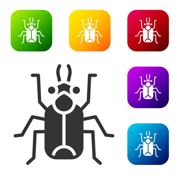 Schwarzes Käfersymbol Isoliert Auf Weißem Hintergrund Setzen Sie Symbole Farbigen — Stockvektor