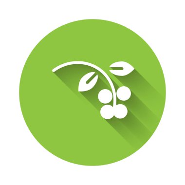 Beyaz kahve çekirdeği, yapraklı dal ve uzun gölgeli dut ikonu. Yapraklı bitki, dut, meyve, tohum. Yeşil daire düğmesi. Vektör İllüstrasyonu.