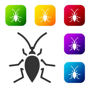 Siyah Hamamböceği simgesi beyaz arkaplanda izole edilmiş. Renkli kare düğmelerle simgeleri ayarla. Vektör.