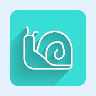 Beyaz çizgi Salyangoz simgesi uzun gölgeli izole edilmiş. Yeşil kare düğmesi. Vektör.