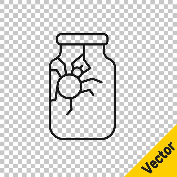 Schwarze Linie Spider Glas Symbol Isoliert Auf Transparentem Hintergrund Frohe — Stockvektor