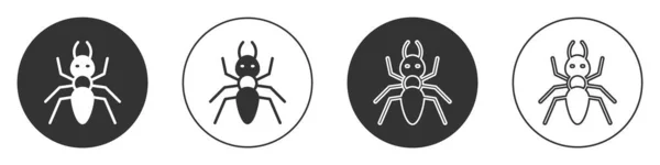 Icona Black Ant Isolata Sfondo Bianco Pulsante Cerchio Vettore — Vettoriale Stock