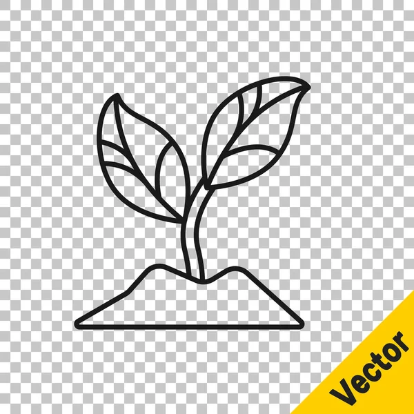 Black Line Plant Icon Isolated Transparent Background Seed Seedling Leaves — Stock Vector