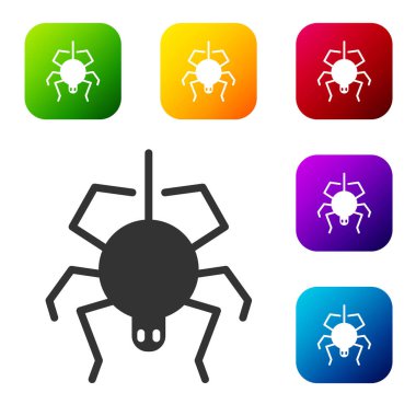 Siyah Örümcek simgesi beyaz arkaplanda izole edildi. Mutlu Cadılar Bayramı Partisi. Renkli kare düğmelerle simgeleri ayarla. Vektör.