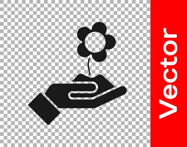 Schwarze Hand Mit Blumensymbol Isoliert Auf Transparentem Hintergrund Samen Und — Stockvektor