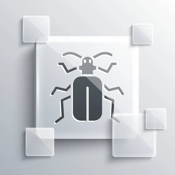 Grey Chafer Beetle Icon Isolated Grey Background Square Glass Panels — Stock Vector