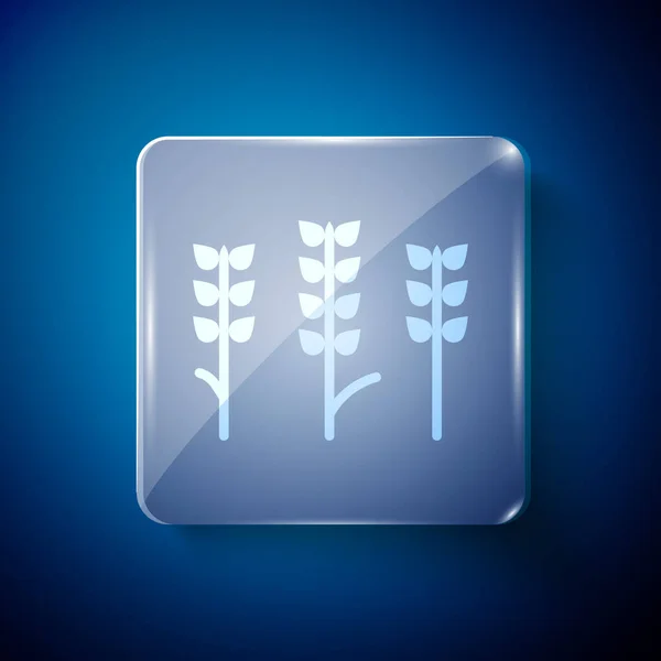 White Cereals Set Rice Wheat Corn Oats Rye Barley Icon — Διανυσματικό Αρχείο